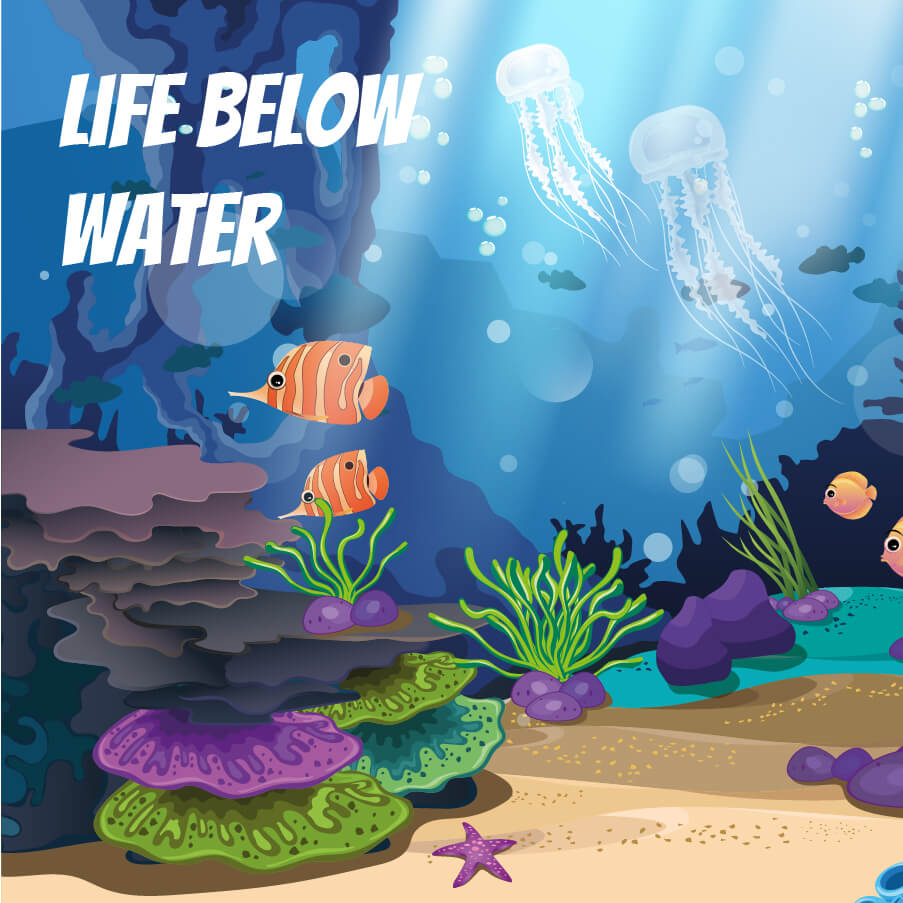 Life below water (ODS 14)